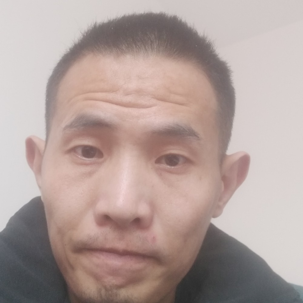 fifa的照片