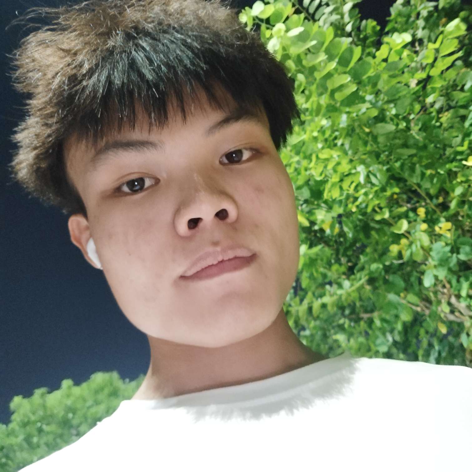 @痴心绝对的照片