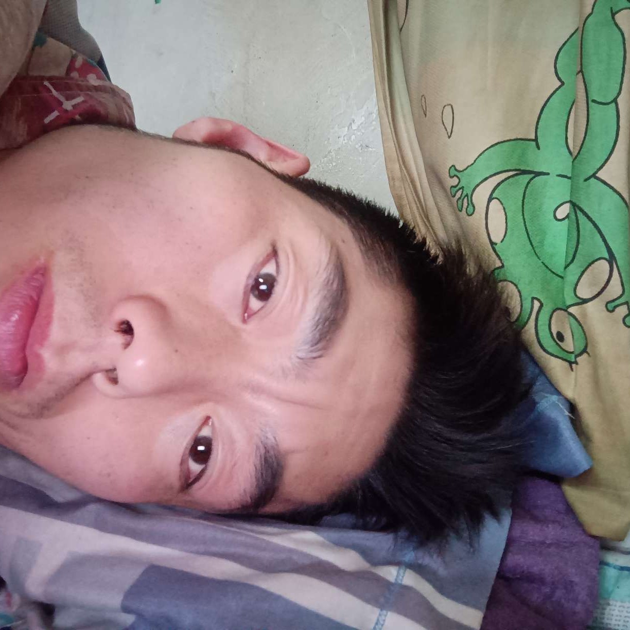 小蝴蝶若梦的照片