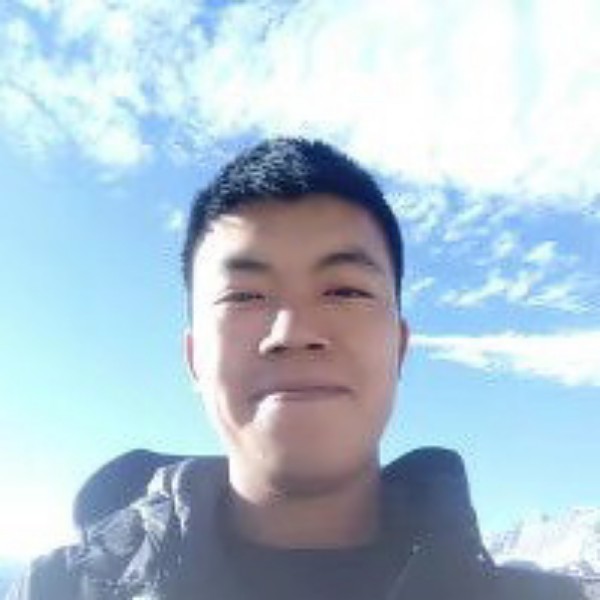 单身停止花卷的照片