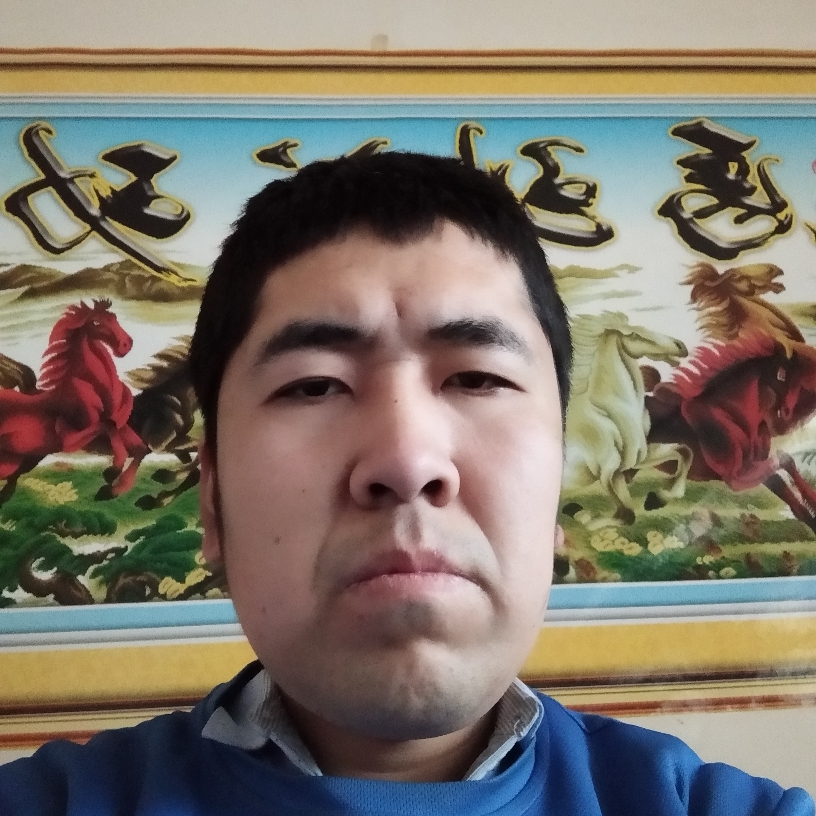 灰狼向还单身的照片