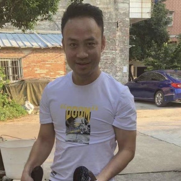 白猫唯一的的照片