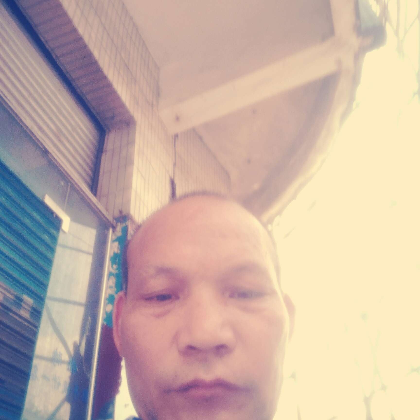 温柔逐风庞龙的照片