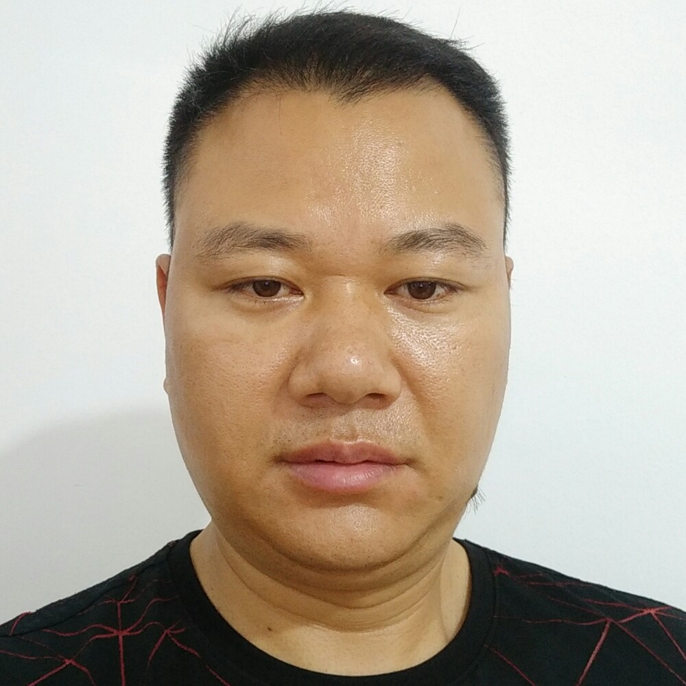 坚定纸鹤的照片