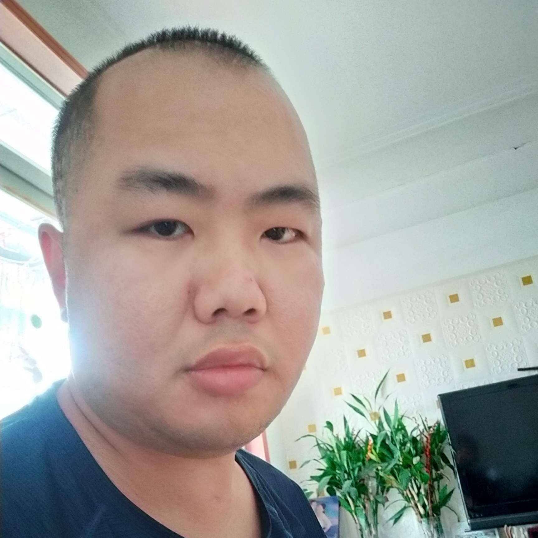 镇魂曲的照片
