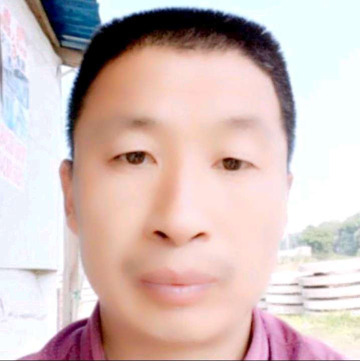 乌龟野性小卖的照片