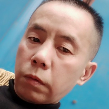 上青文竹的照片