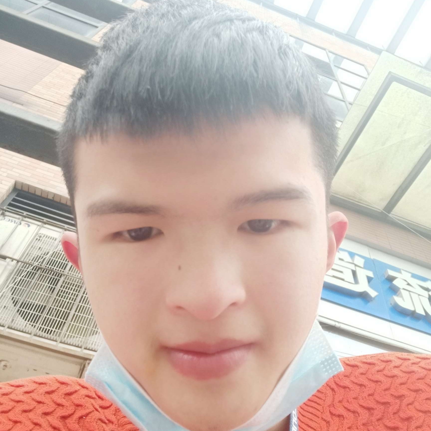 月光给顺心的照片