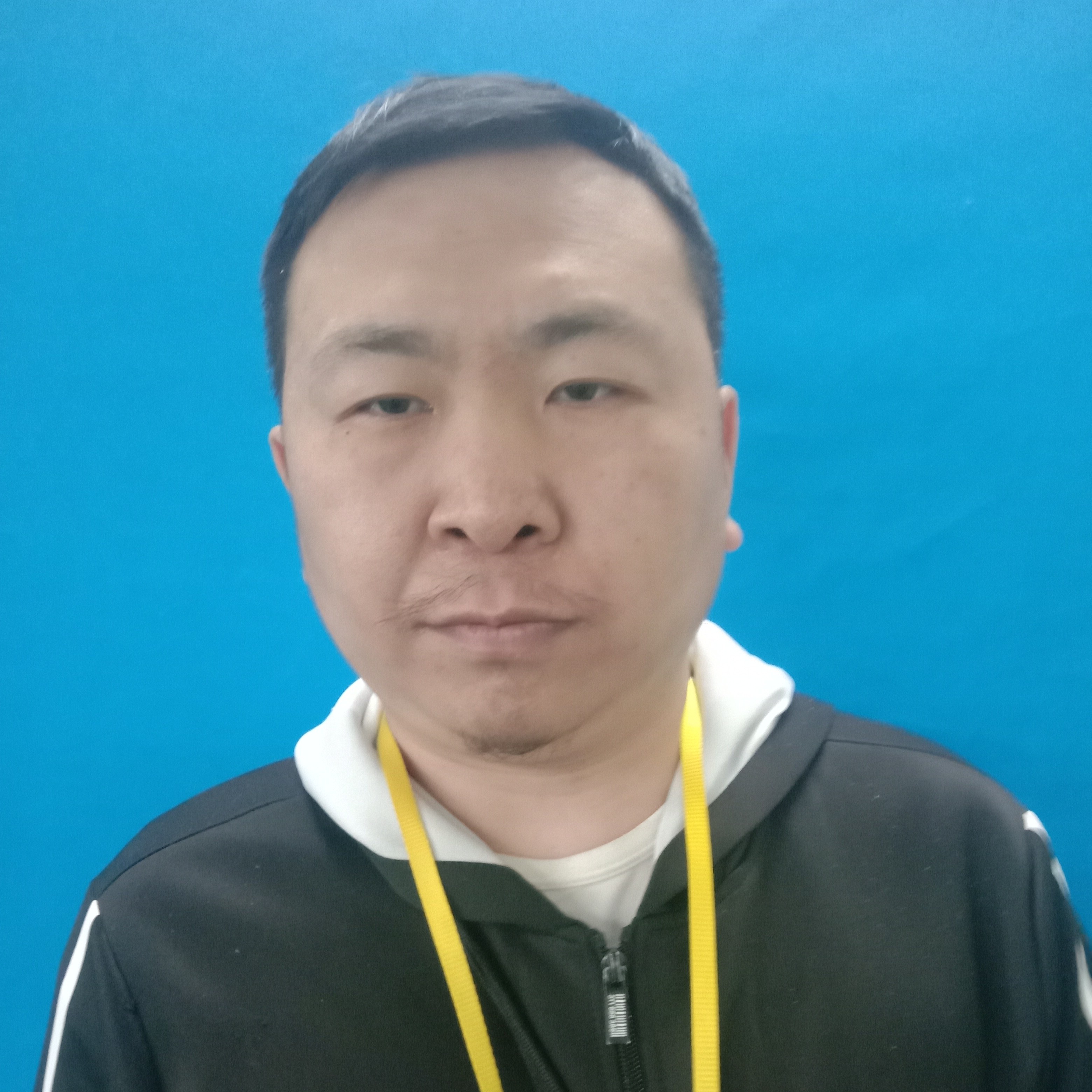 大雁等待无垠的照片