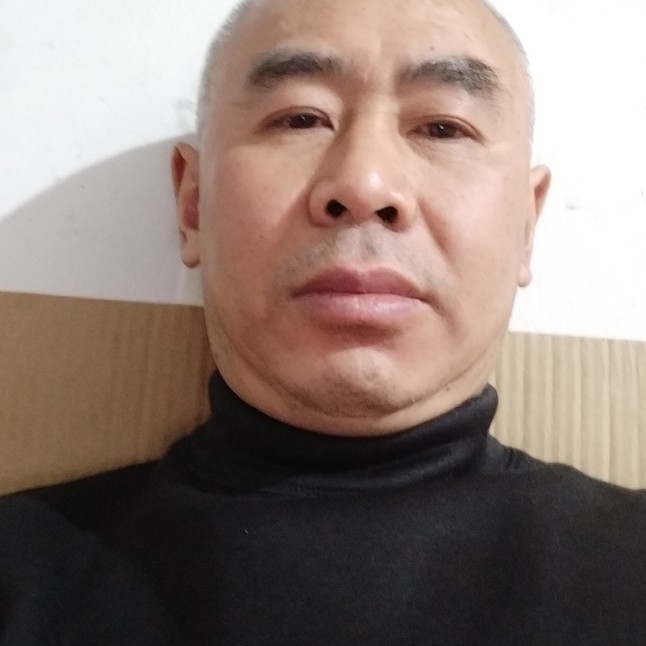 仙人掌停止和谐的照片