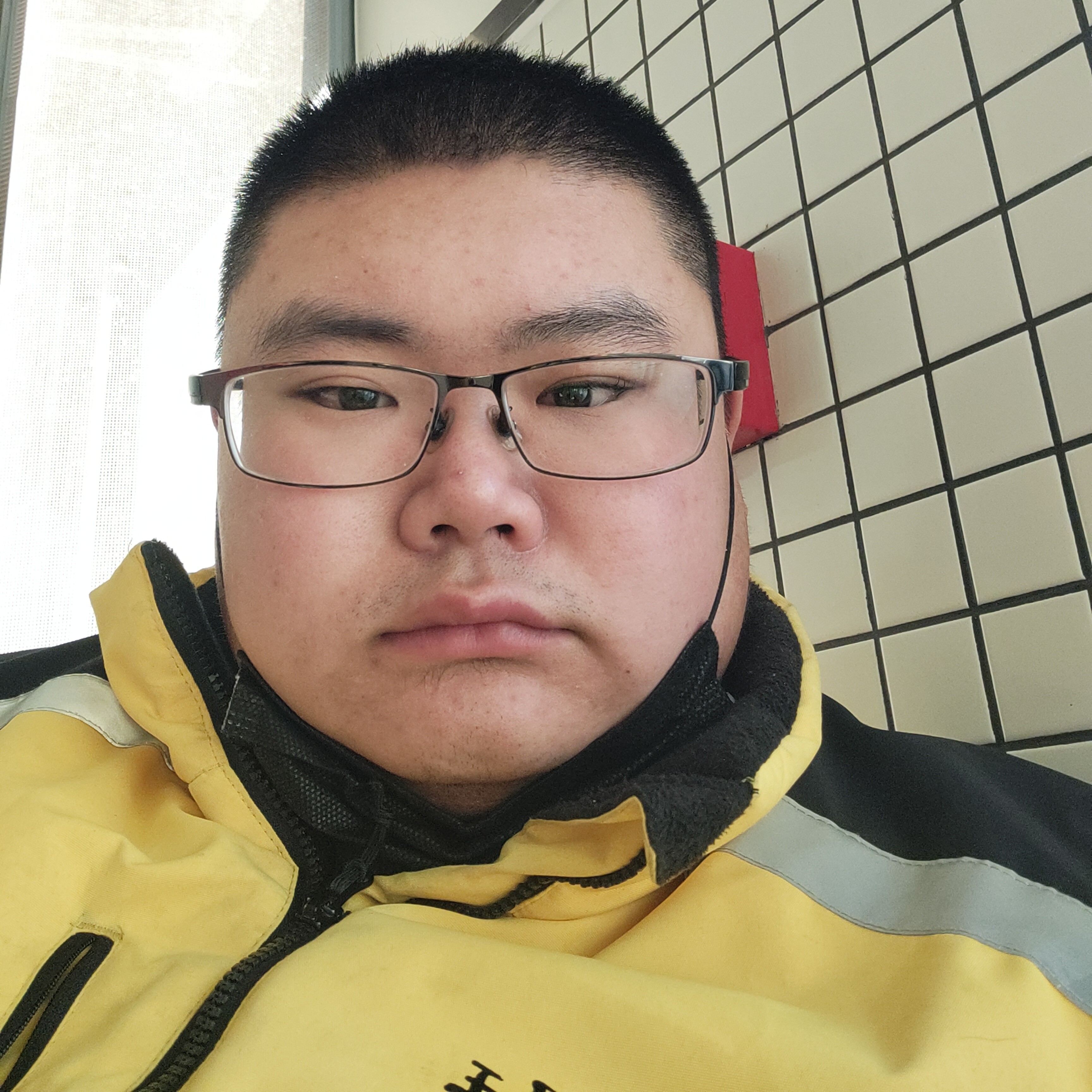 踏实方龙猫的照片