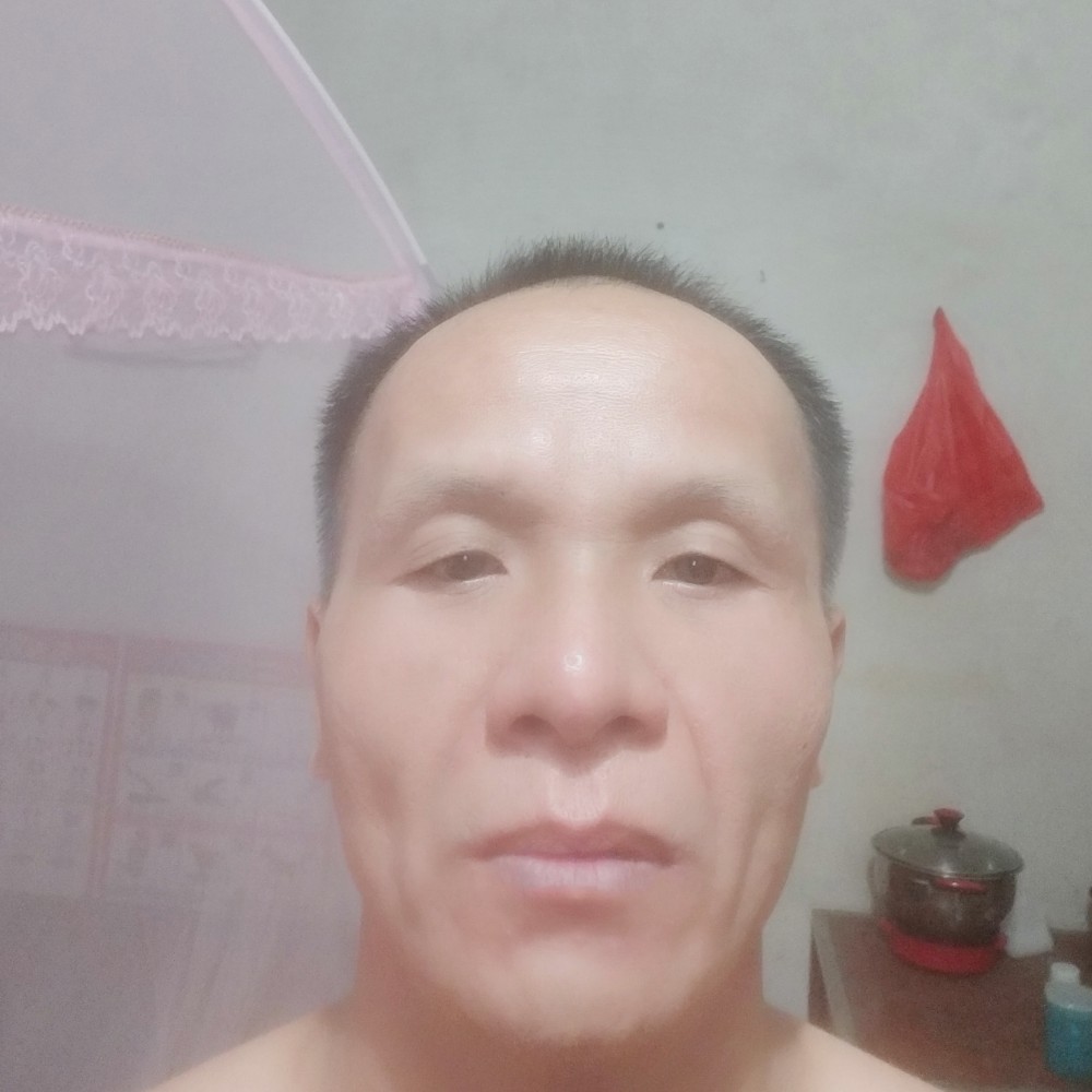 月光会撒娇的照片