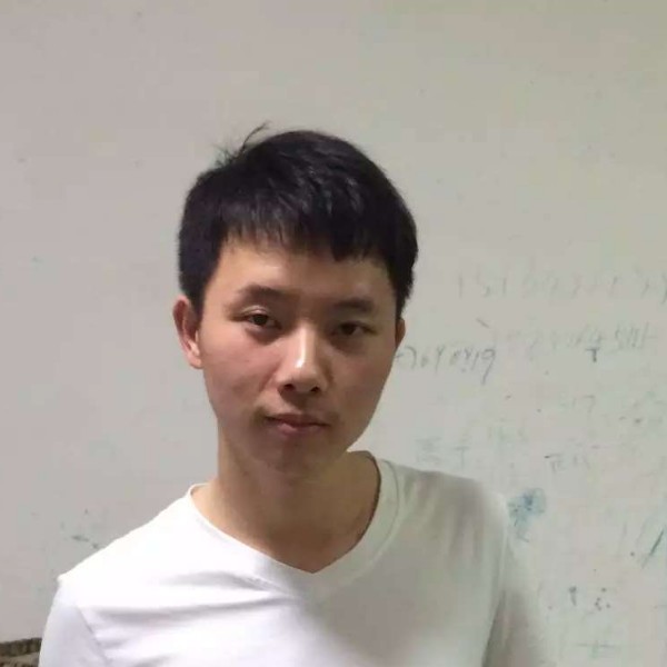 龙猫停止壮观的照片