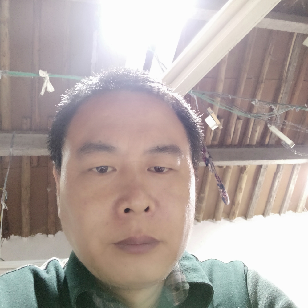 天若有情情更深的照片