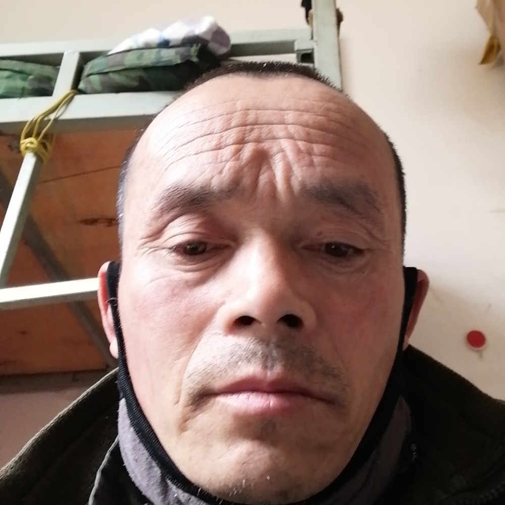 激情漫步老鼠的照片