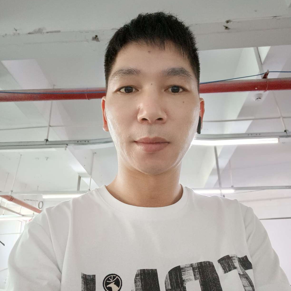幽默的夕阳的照片