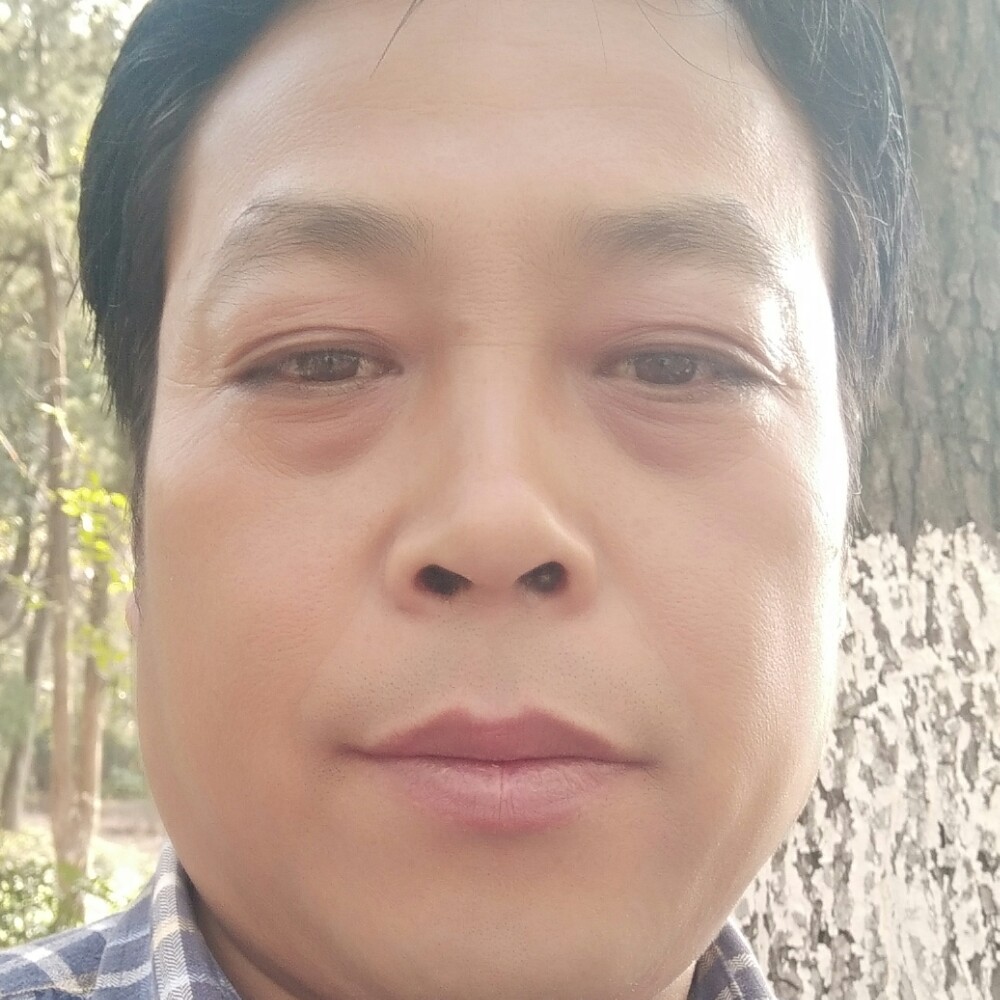 大方回眸斑马的照片