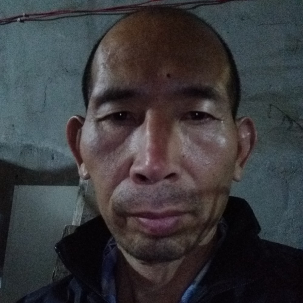 铃铛漫步孤独的照片