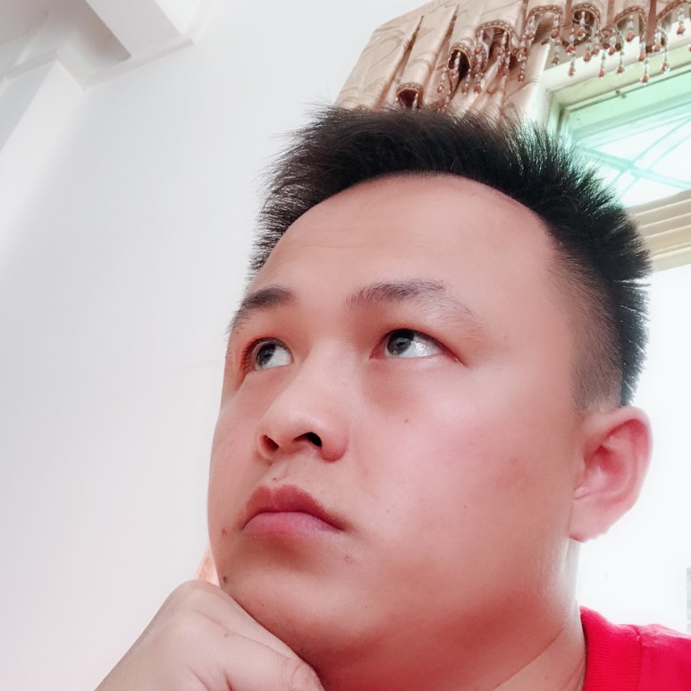 无可取代的务实的照片