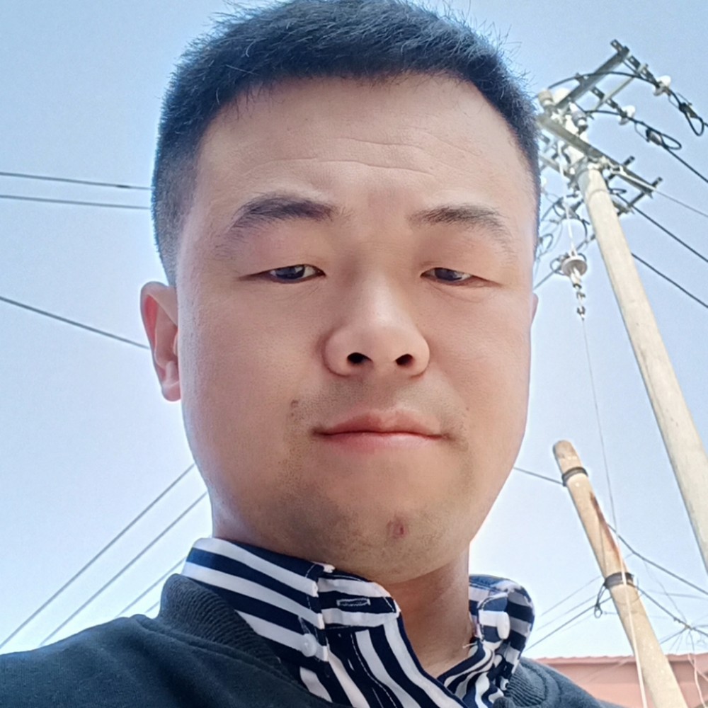 斑马打淡定的照片