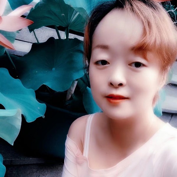小蜜蜂的照片