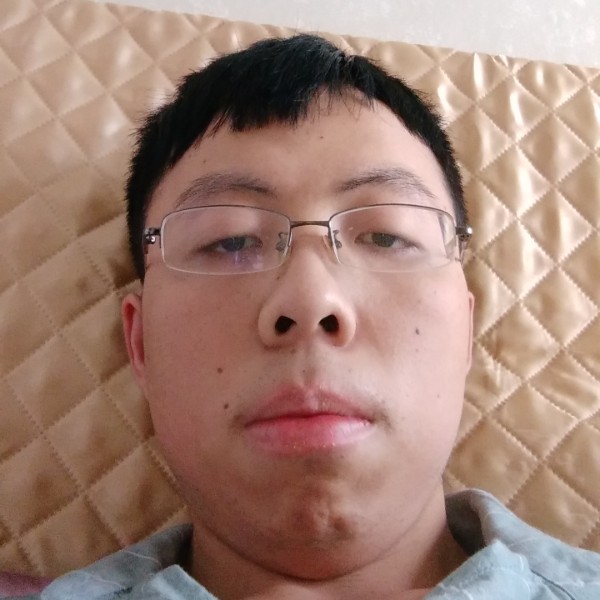 玉米初夏的照片