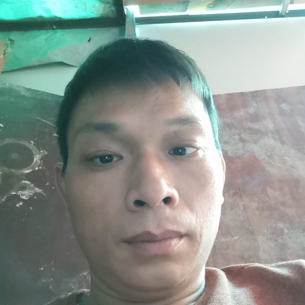 秀丽就小白菜的照片