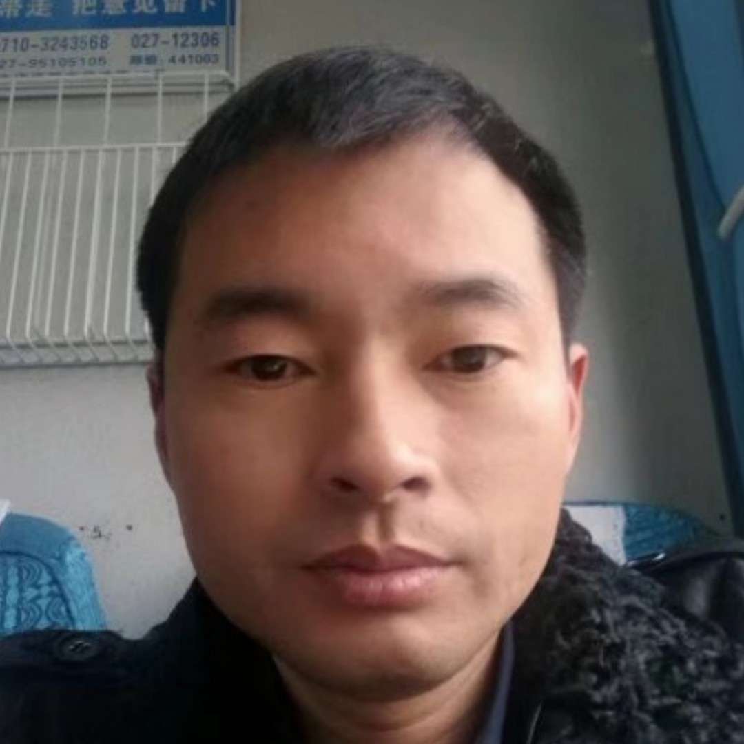 向日葵泪了忧心的照片