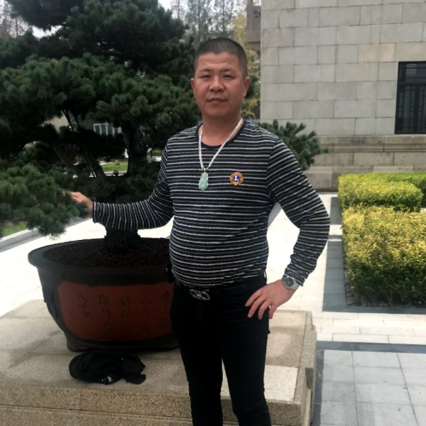 老迟到用小猫咪的照片