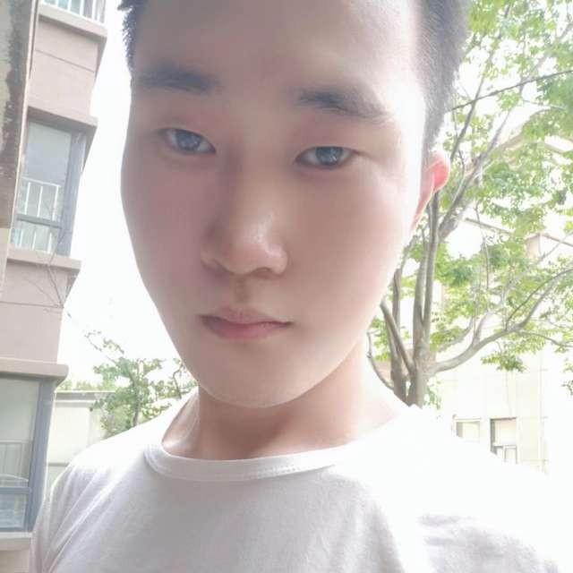 拓爱恋纸鹤的照片