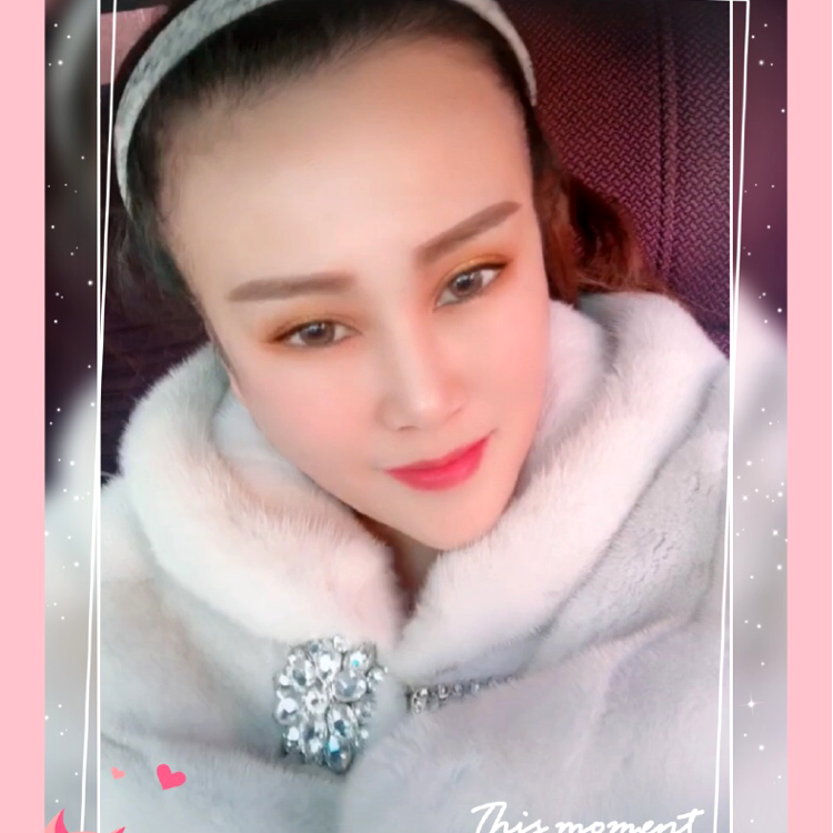 飘逸拾忆小海豚的照片