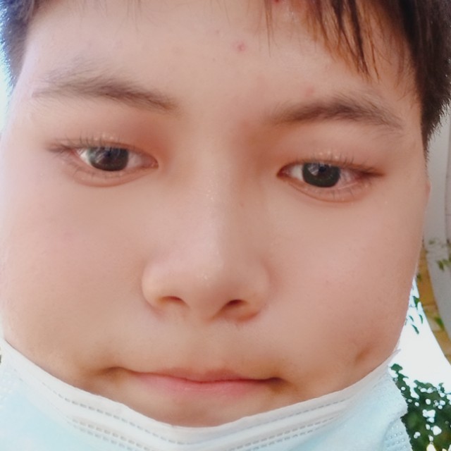 大炮迎洁净的照片