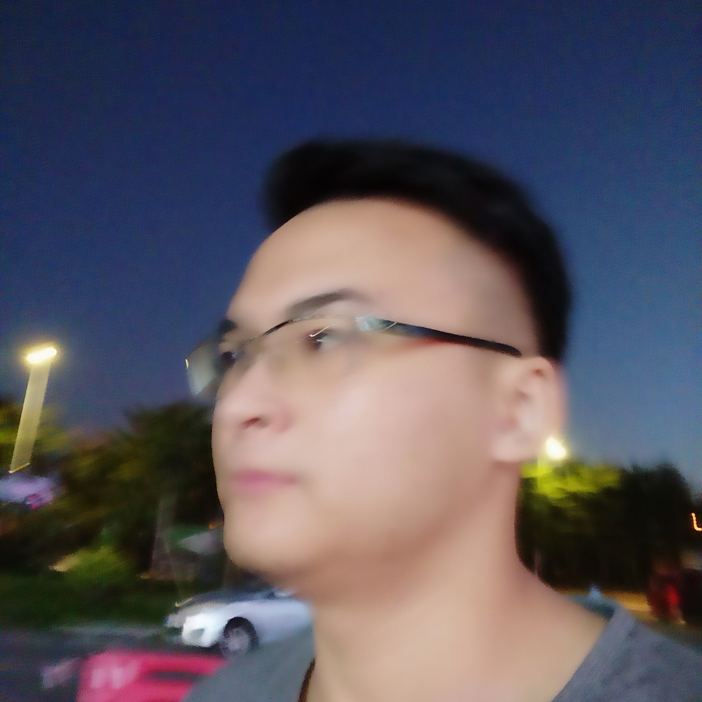 风趣猫咪的照片