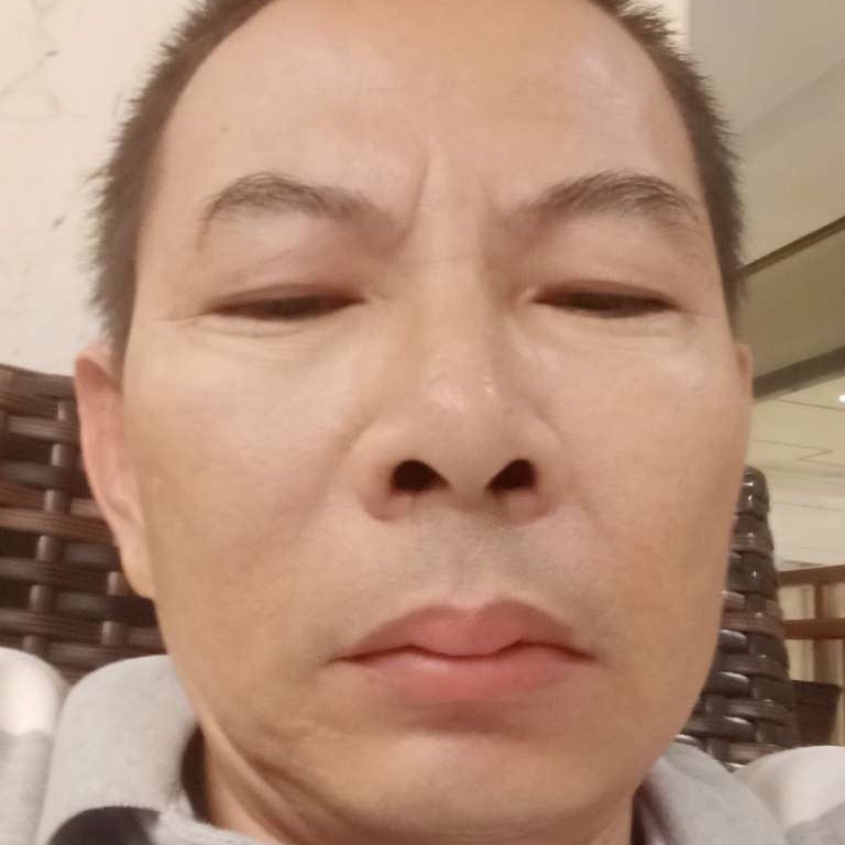 红牛停止成就的照片