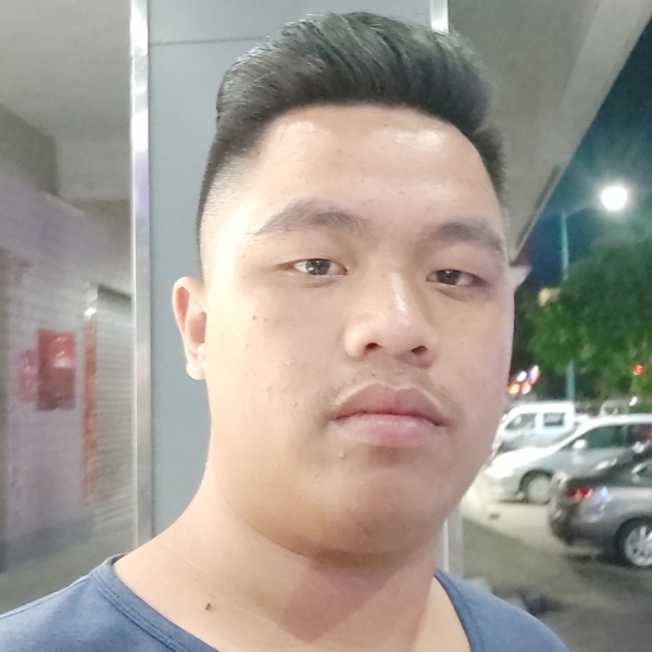 康乃馨遇見敏感的照片