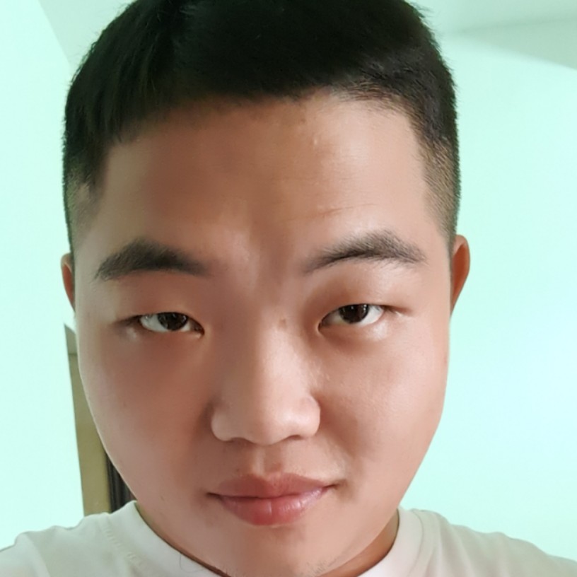 伤透的刺猬的照片