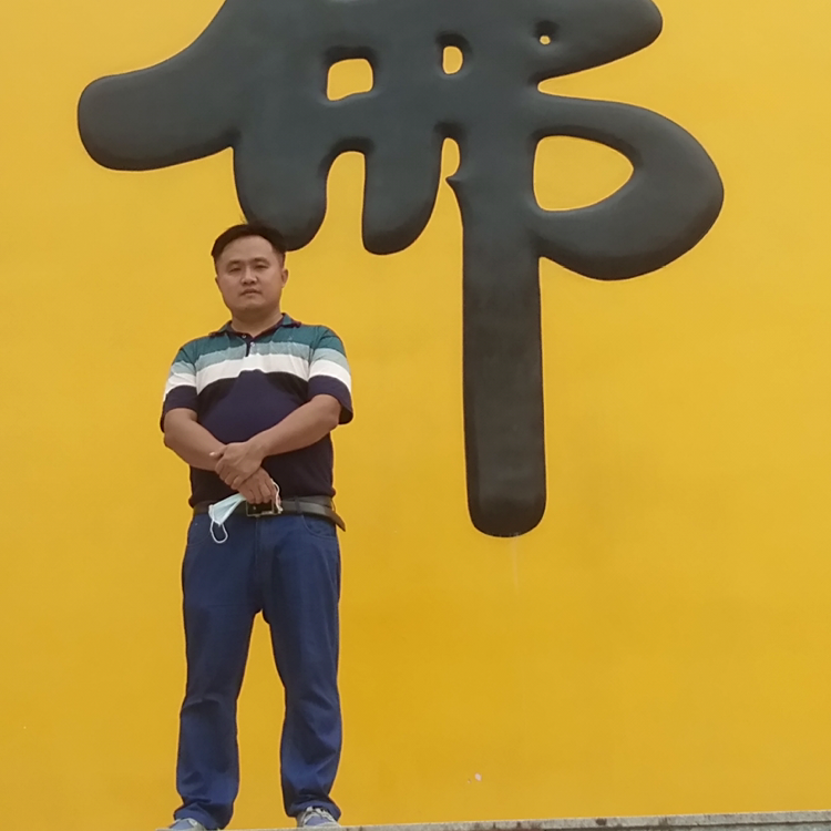 龙帆盛的照片