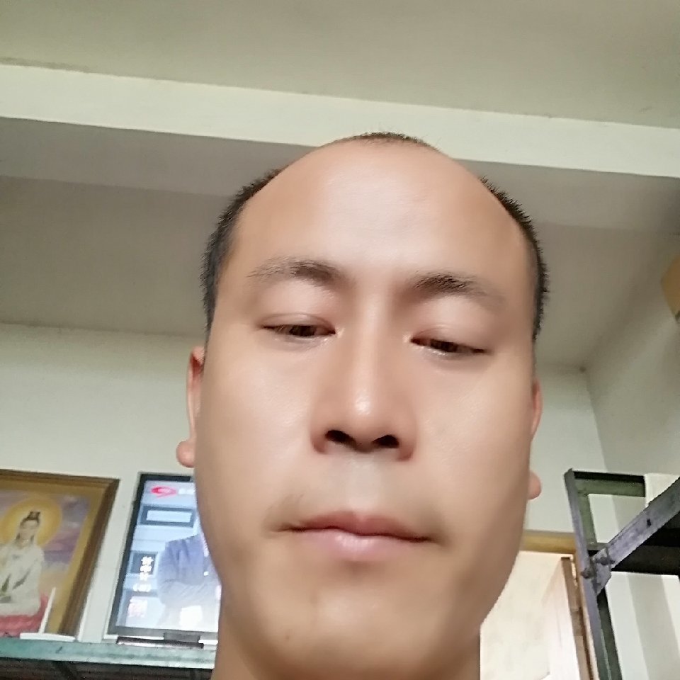 魁梧放弃金毛的照片