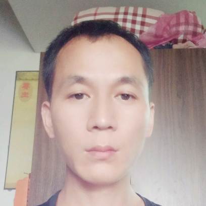 黑夜鲤鱼的照片