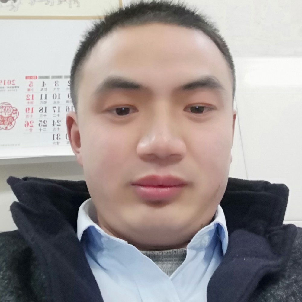 夏天的荷叶的照片