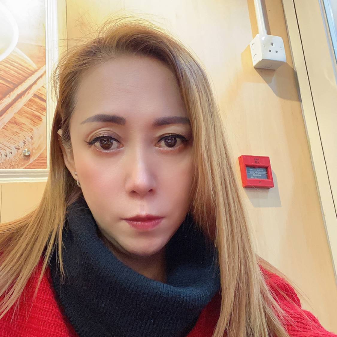 欢喜蹁跹红玫瑰的照片
