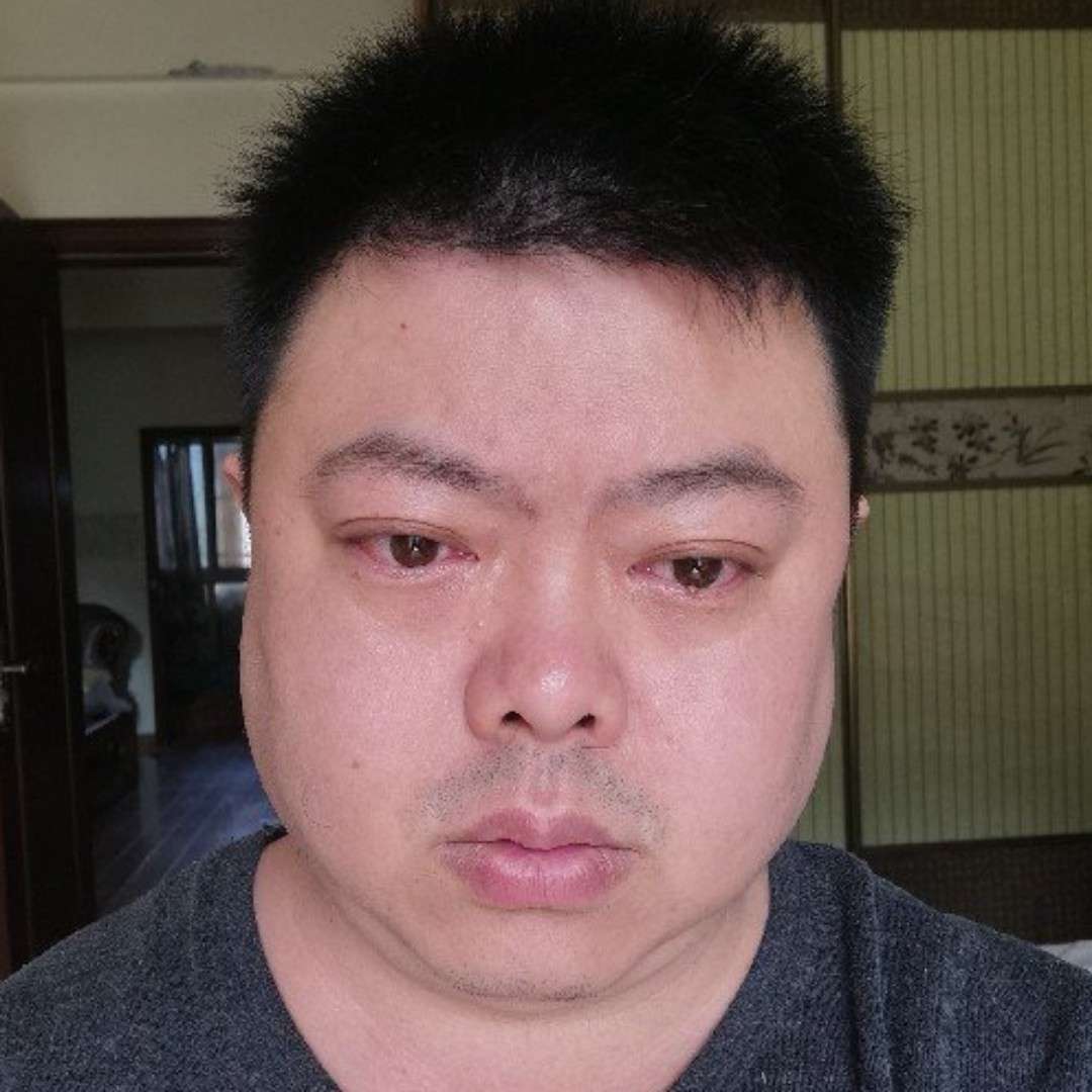 北极肥熊的照片