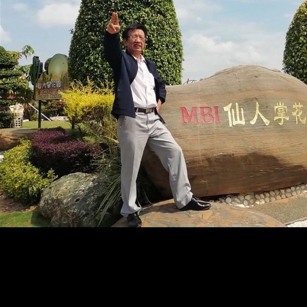 冬天里的照片
