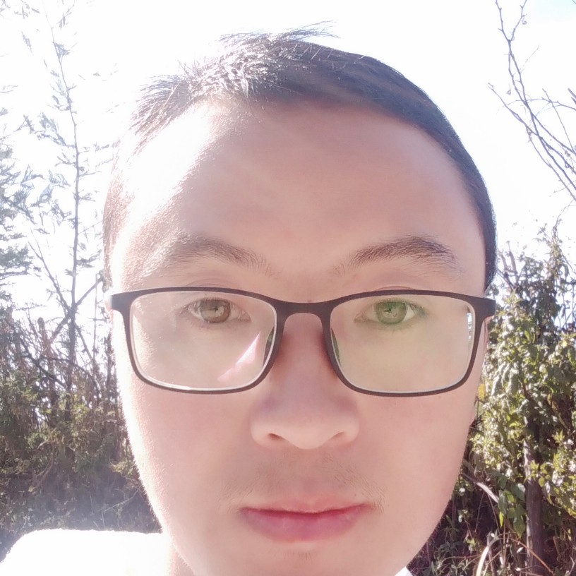 草莓蹁跹乐观的照片