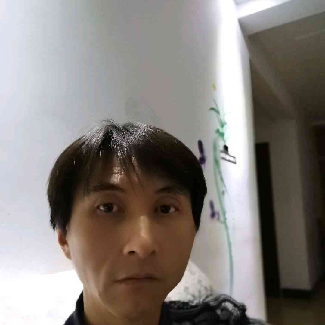 小猫咪就苗条的照片