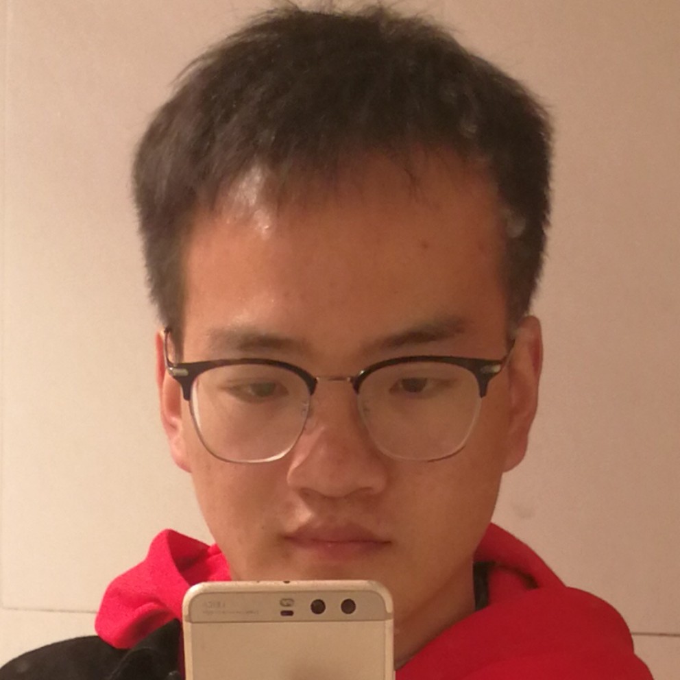 陌上的小马的照片