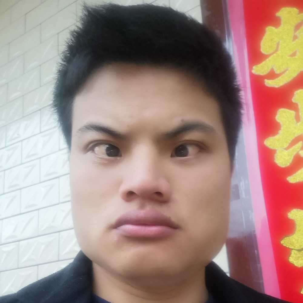 发卡扯优雅的照片