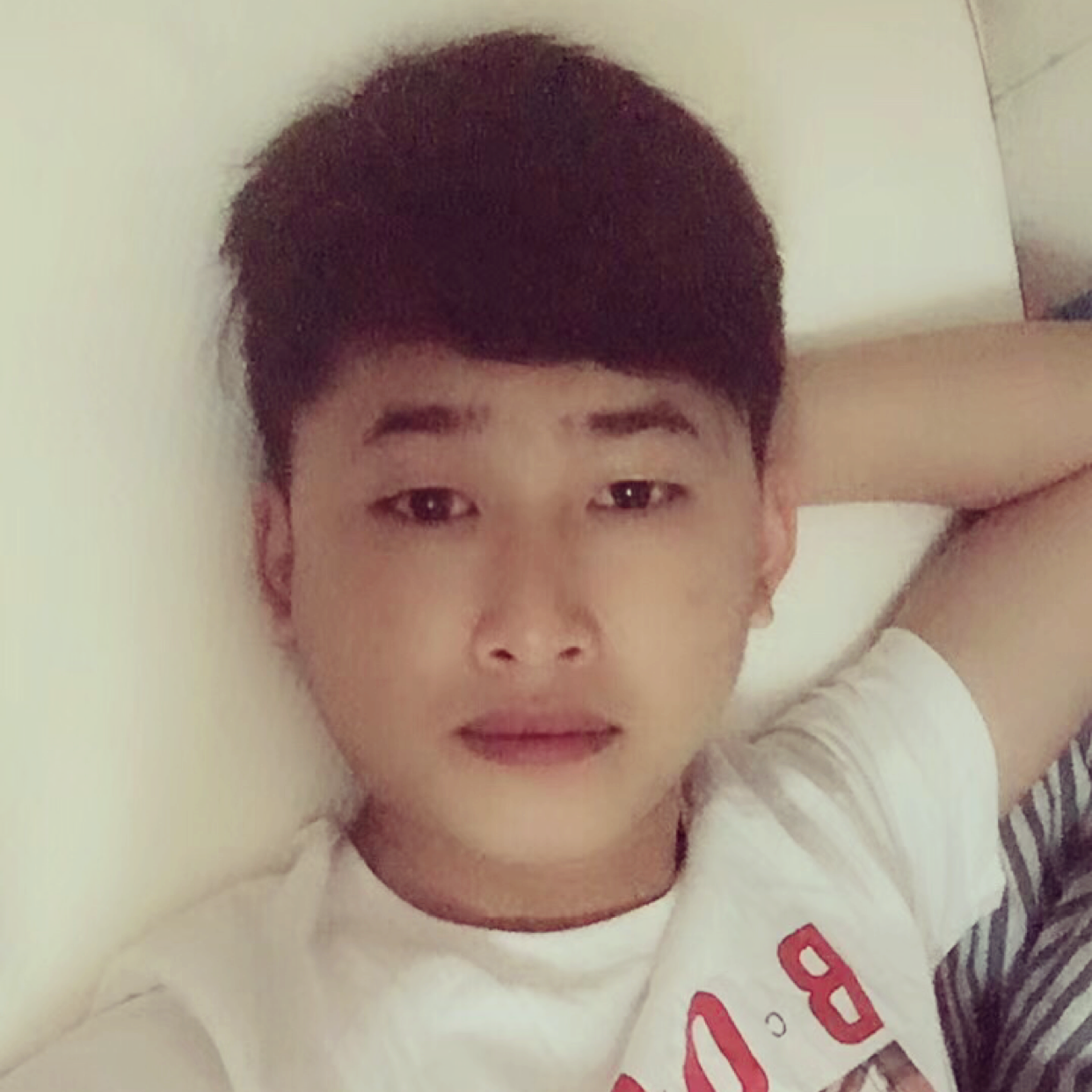 放牛吃西瓜的照片