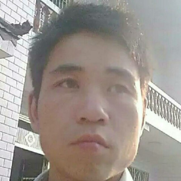 老实画板的照片