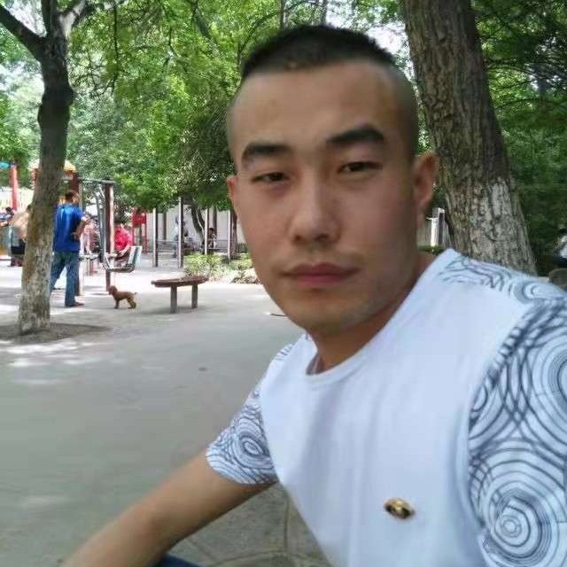 乌龟的诚心的照片